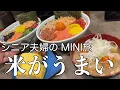 Download Lagu Niigata Gunma Trip #2: Relax in the rice terraces, try the best tokoroten in Japan, visit the Ryo...