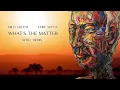 Download Lagu What's The Matter - Milo Greene, Emre Şufta (AFRO REMIX)