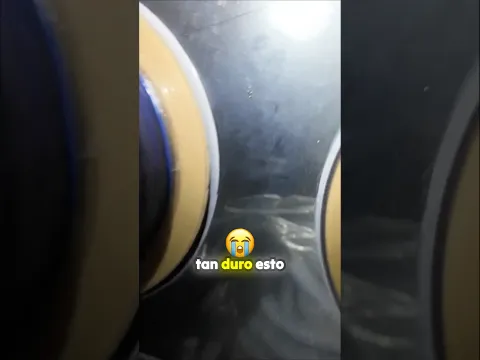 Abandonan 400 perros en laboratorio ⬇️ Reportaje completo ⬇️