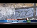 Investigators find 8 000 blue fentanyl pills disguised as oxycodone