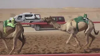 الشوط 17 شواهين للسيد حمدان بخيت فطيس المنصوري 6 47 00 