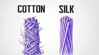The Crazy Engineering of Silk