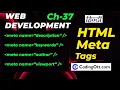Meta tag basics in HTML HTML tutorial for beginners Web Development Tutorial