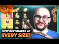 The Best Pet Snake At Every Size