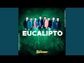 Download Lagu Eucalipto
