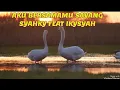 Download Lagu AKU BERSAMAMU SAYANG #COVER BY SYAHKY FEAT IKYSYAH