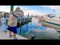 This is Why You Throw Small Baits under Destin Harbor Docks