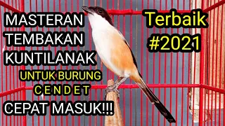 Download MASTERAN KUNTILANAK UNTUK BURUNG CENDET || TERBAIK 2021 MP3