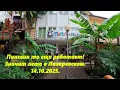 Download Lagu Пингвин еще работает, а значит еще лето!  Лазаревское 14.10.2025.