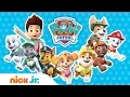 How Many PAW Patrol Friends Can You Name in Ft Chase Chickaletta More PAW Patrol Nick Jr