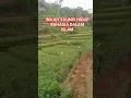 Download Lagu INILAH 3 KUNCI HIDUP BAHAGIA DALAM ISLAM
