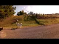 Modded Axis M200 Wheelie