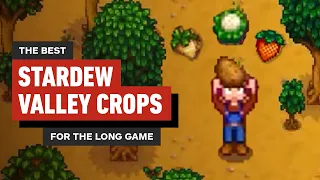 Stardew Valley Farming Guide: 4 Early Crops to Make You Rich - The Long Game