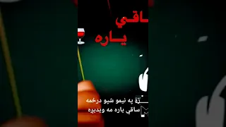 زه په نیمو شپو درځمه ساقی یاره مه ویدیږه نوشیروان آشنا Song 