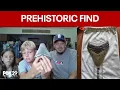 Pennsylvania family makes prehistoric discovery while searching for seashells on the Jersey Shore