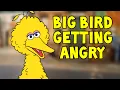 Lagu Big bird getting angry compilation￼