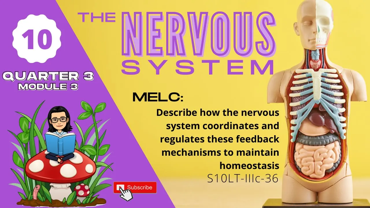 Outline Video Grade 10 SCIENCE | Quarter 3 Module 3 | The Power and Control of the Nervous System