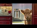 Magnetic cover for any fridge model 1