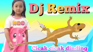 Download Cicak Cicak di dinding - lagu anak indonesia populer - versi house remix MP3