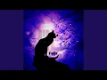 Felis