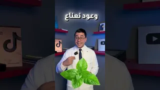 مشروب طبيعي هيساعدك في تخفيف اعراض الصداع دندنها
