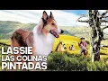 Download Lagu Lassie - Las colinas pintadas | Película de Navidad | La familia | Español | Viejo Oeste