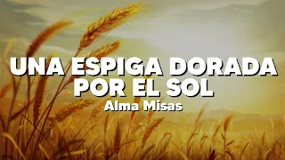 Una Espiga Dorada Por El Sol - Alma Misas (Letra)