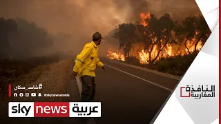 فرق الإطفاء تواصل الجهود لإخماد حرائق الغابات في المغرب النافذة المغاربية 