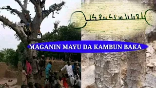 maganin mayu da kambun baka mujarrabun da yardan allah