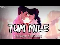Download Lagu Tum Mile [ Slowed \u0026 Reverb ] - Javed Ali |Lofi songs Platform