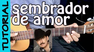 como tocar SEMBRADOR DE AMOR en Guitarra