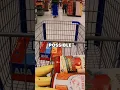 The Secret Grocery Store Trap You Fall For Daily