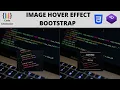 Image Hover Effect using Bootstrap 4 and Css 3 Bootstrap 4 Code Generator