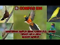 Download Lagu MASTERAN AMPUH isian roll beset, terapi air dan jeda cililin, kapas tembak, kenari dan tengkek buto