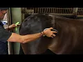 Applying Checkerboard Quarter Markers