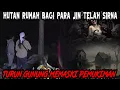 TERLANTAR PARA JIN KARENA HUTAN RUSAK-BUKTI RAKUSNYA MANUSIA SAMPAI JIN TERUSIK