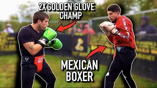 Download MEXICAN BOXER calls out GOLDEN GLOVE BOXER | Pro Level Boxing MP3