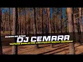 Download Lagu DJ Cemara - Sembilan Band Remix Galau Slow Bass
