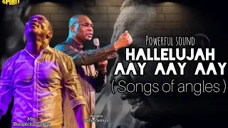 hallelujah aay aay min theophilus sunday and apostle joshua selman