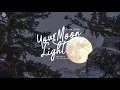 [Vietsub] CHEN (첸) - Your moonlight (너의 달빛) | Do You Like Brahms OST Part.3