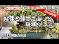 Download Lagu 633{多肉植物} 来年の暑さ対策の準備初めてます🔸絶賛多肉お片付け中‼️【多肉事】【多肉棚減らし】【鉢減らし】【ba多肉】【baチャンネル】【Succulent】