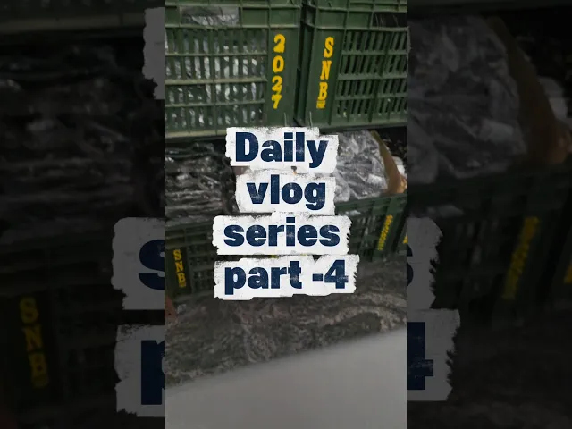 E-Brakes Levers Pair for Electric Bicycle (Lenghty Wired) overview video