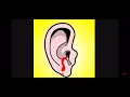 Download Lagu The loudest music In the world
