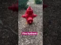 Fire hydrant in America fun facts about America