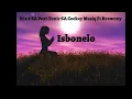 Isibonelo (Pexi-Tonic SA, Dj 9.8 SA & Ceekay Musiq ft. Brownny )