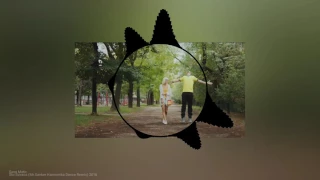 sasa matic sto sviraca mr sanker harmonika dance remix 