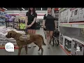 Beat the Summer Heat with Tractor Supply Co Cincy Lifestyle
