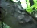 Police of WM3 crime Scene