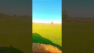 Https Vt Tiktok Com ZS6P3mxjW 