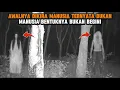 HOROR: AWALNYA DIKIRA MANUSIA TERNYATA HANTU MENYERUPAI MANUSIA #cctv #horror 